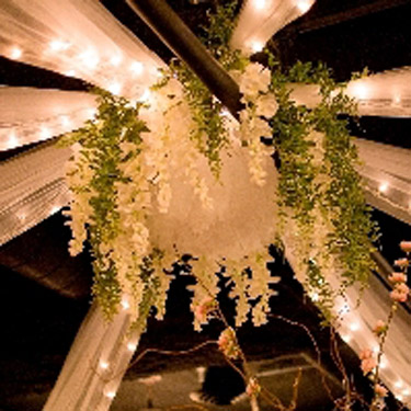 Wisteria Photo Idea - Idea Gallery - Budget Ceiling decoration ideas